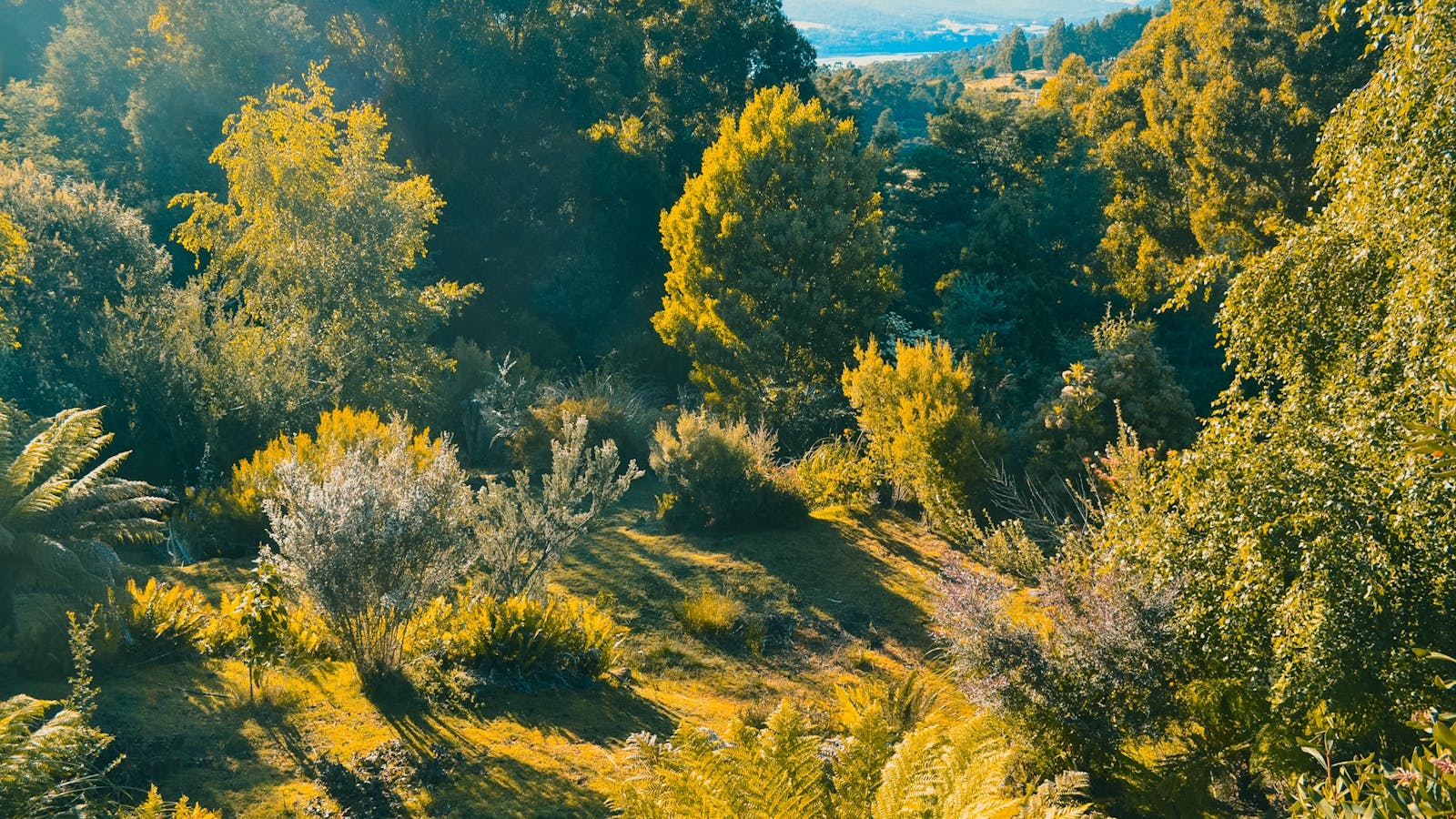 Silverwood Cottage, Huon Valley