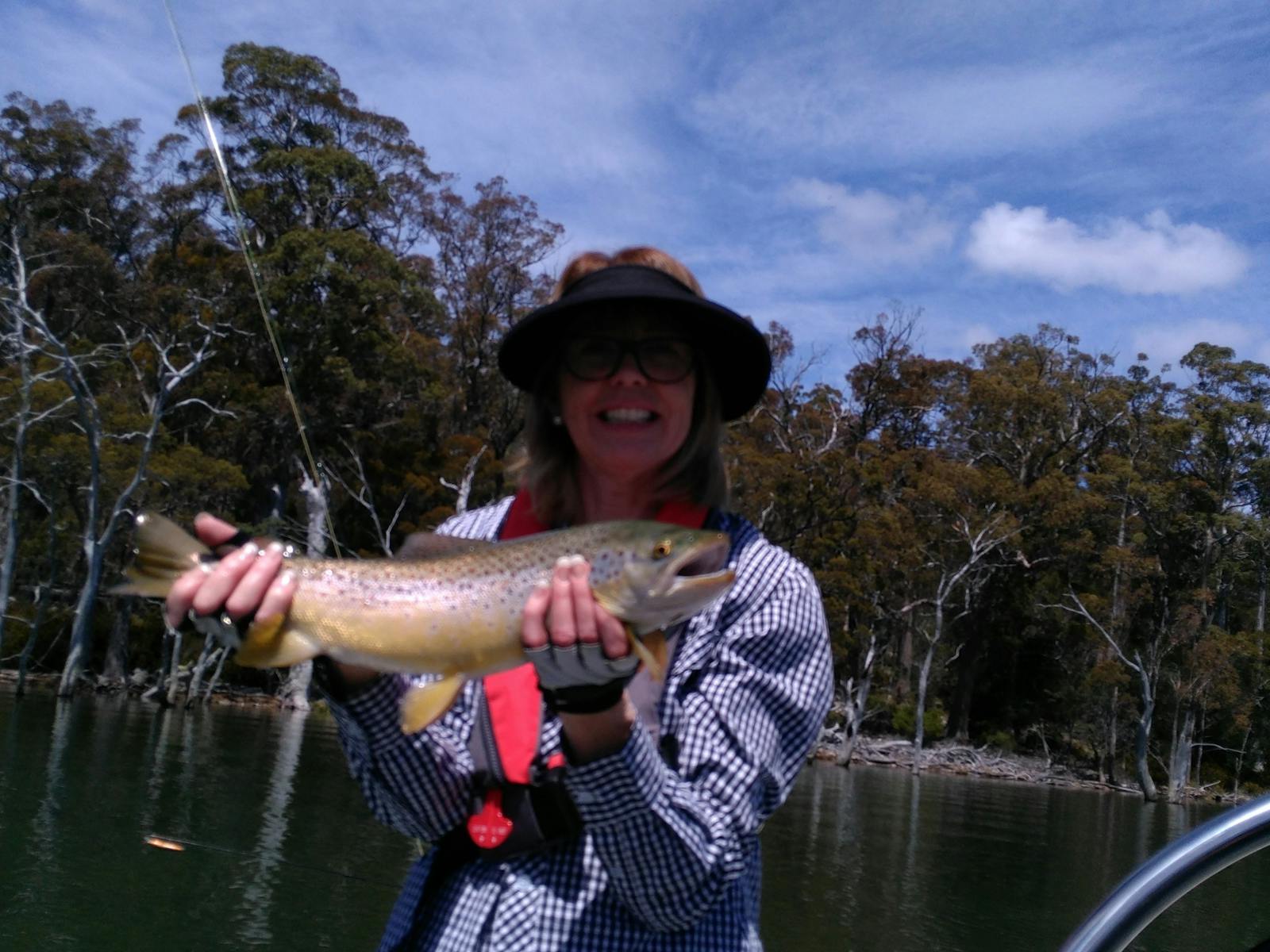 Brown trout at Four Springs Lake