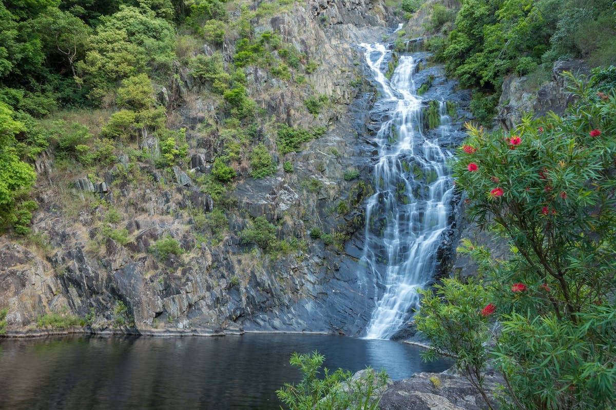 Spring Creek Falls