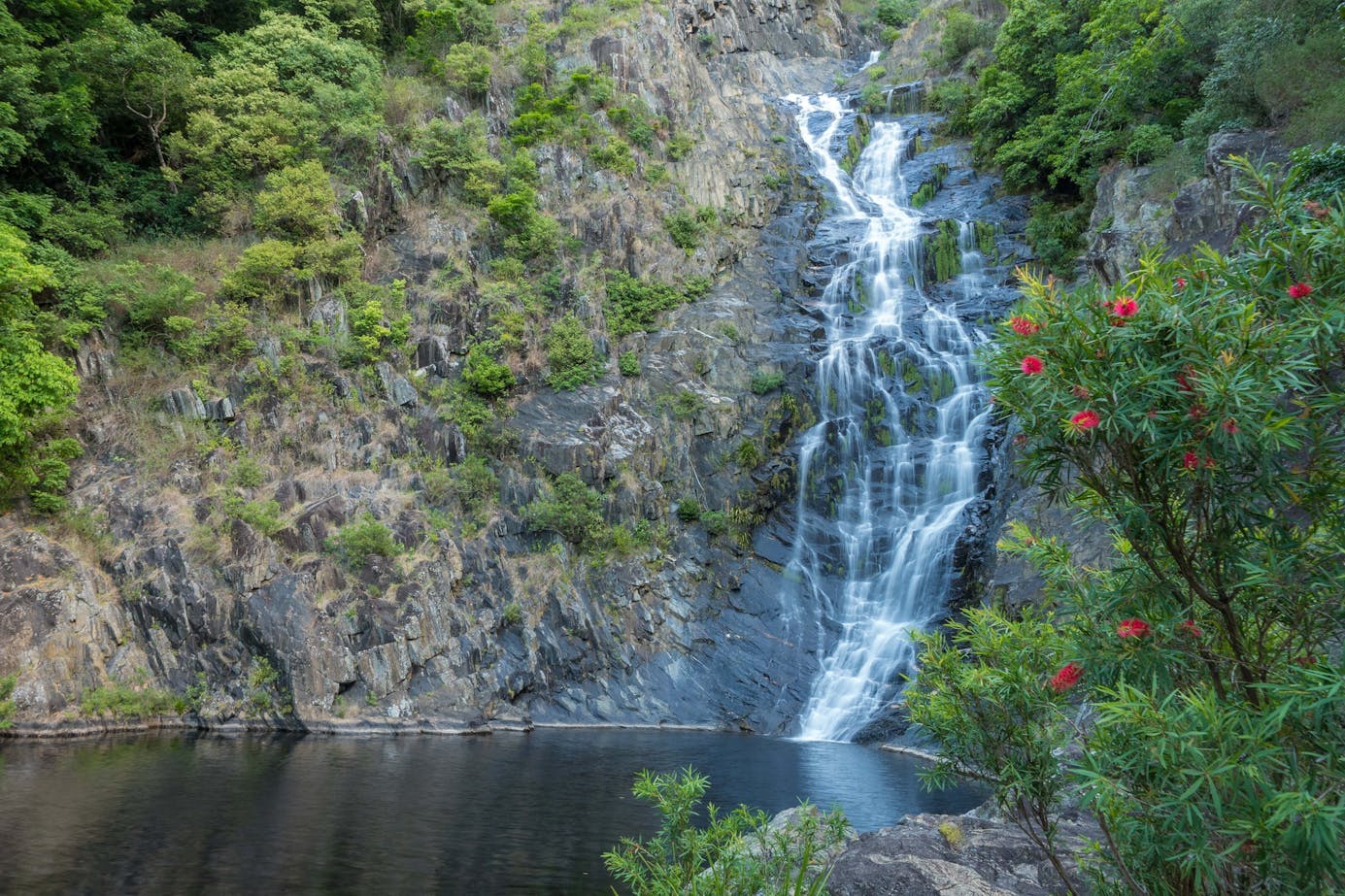Spring Creek Falls Cairns & Great Barrier Reef