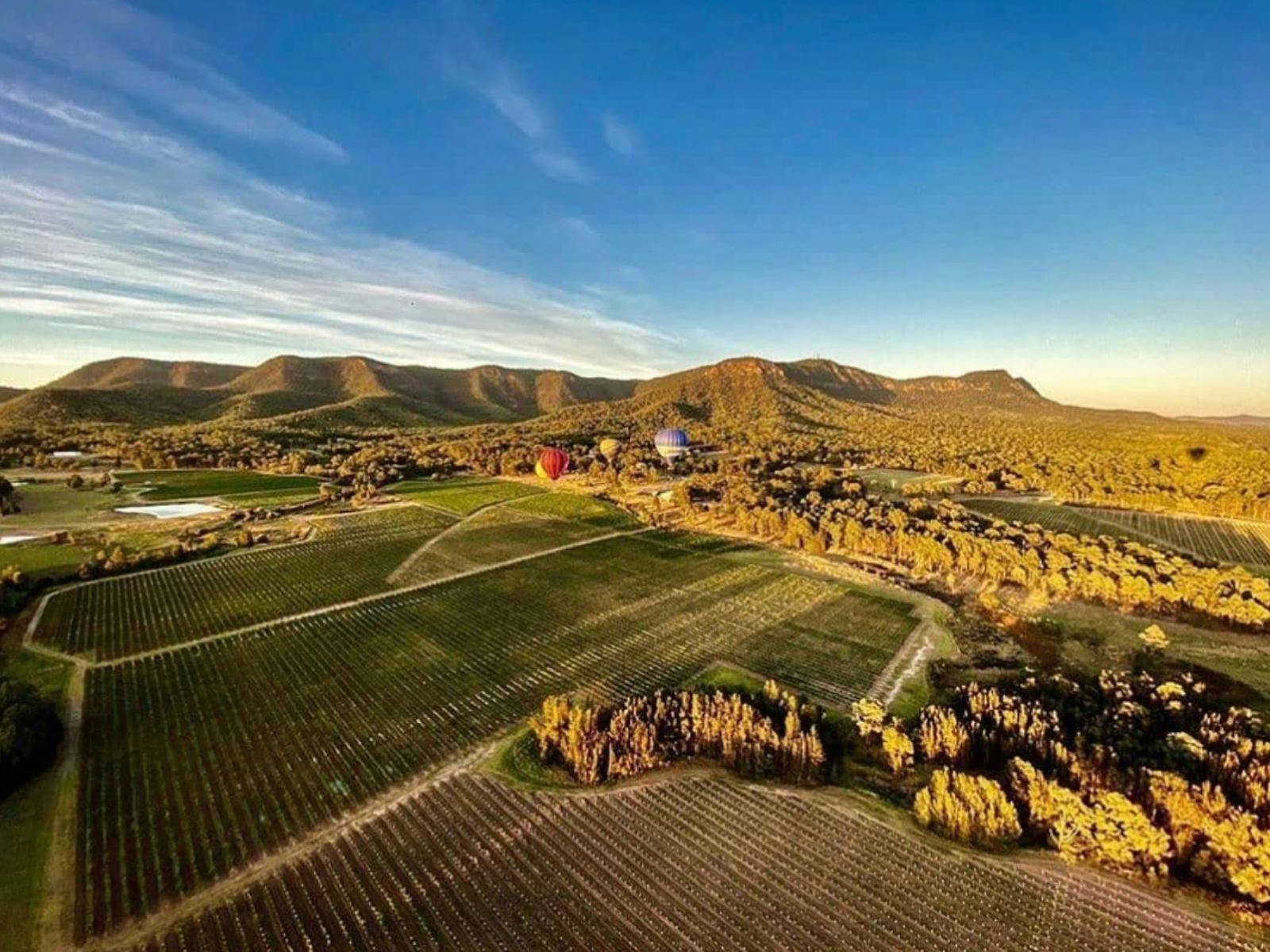 搭乘 Rotone 直升機遊覽 Brokenwood 酒莊