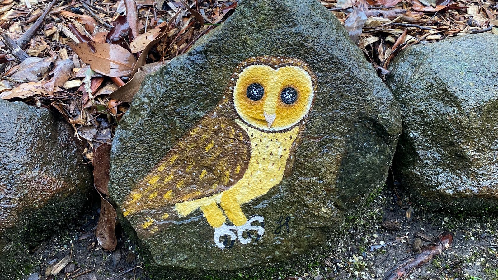 rock art
