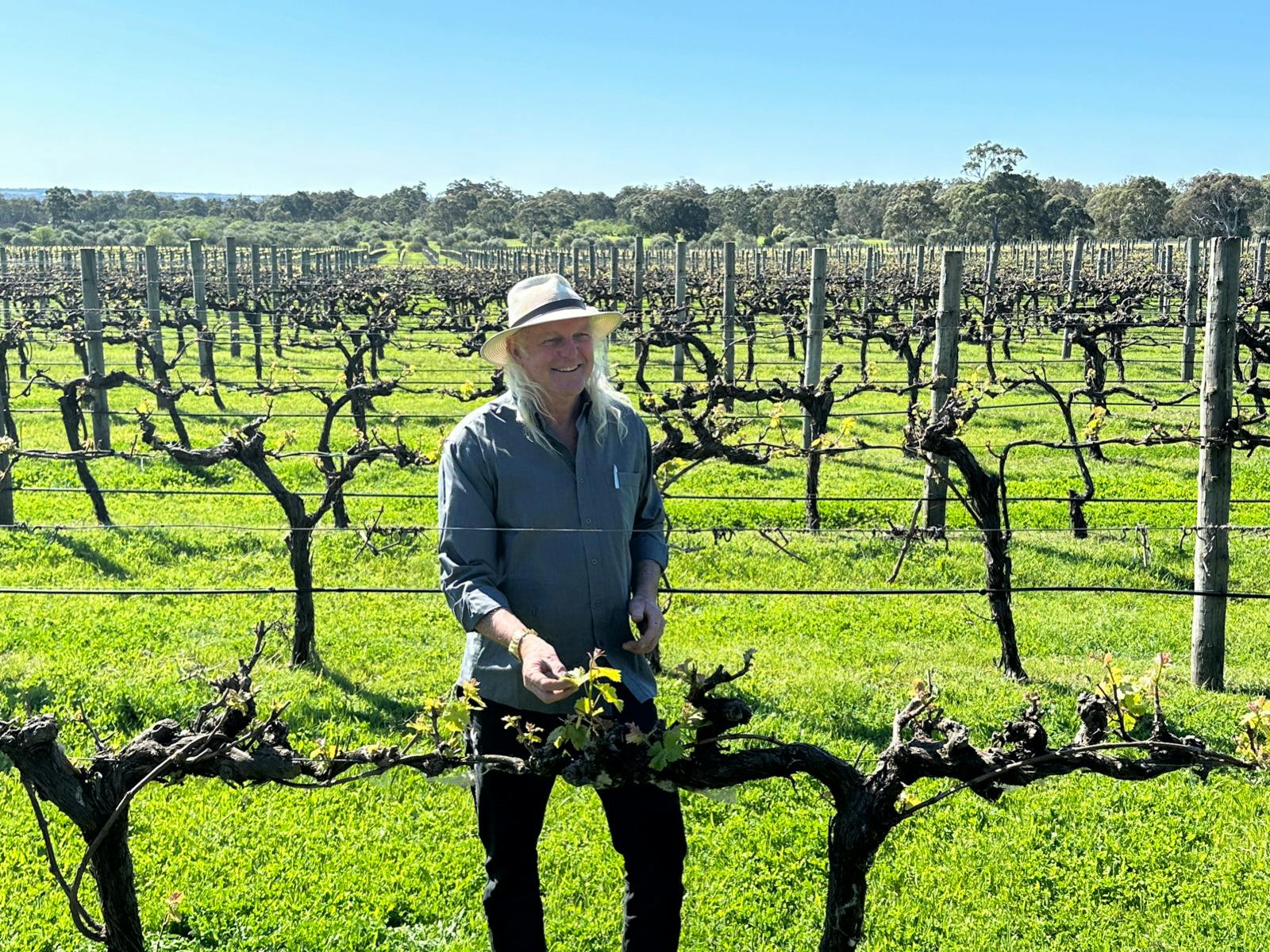 Organic Vine Whisperer, John "Moondog" Saunders