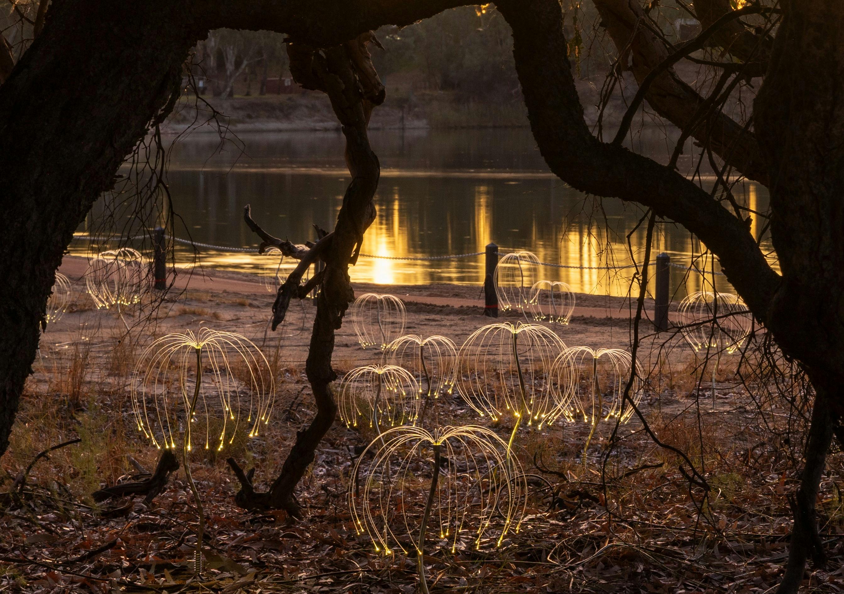Trail of Lights - Mildura