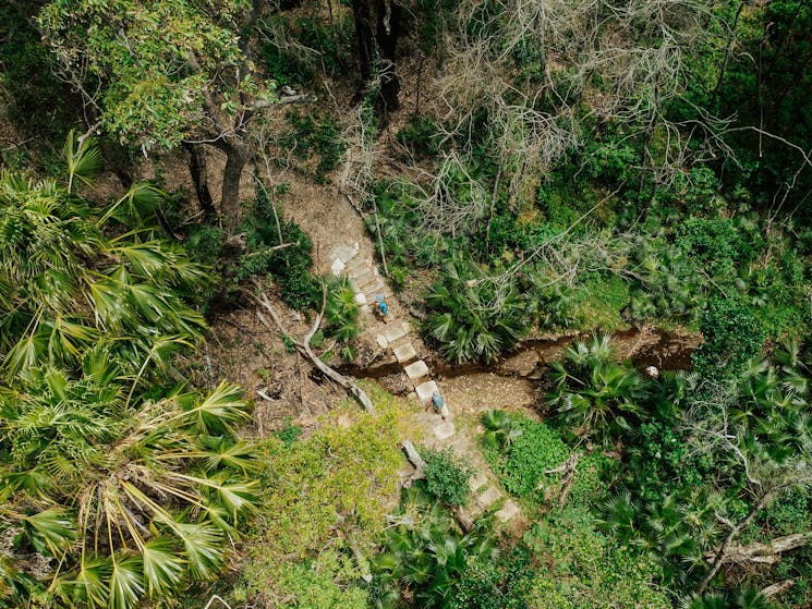 A photo from above of walkers in a lush forest on the Murramarang South Coast Walk