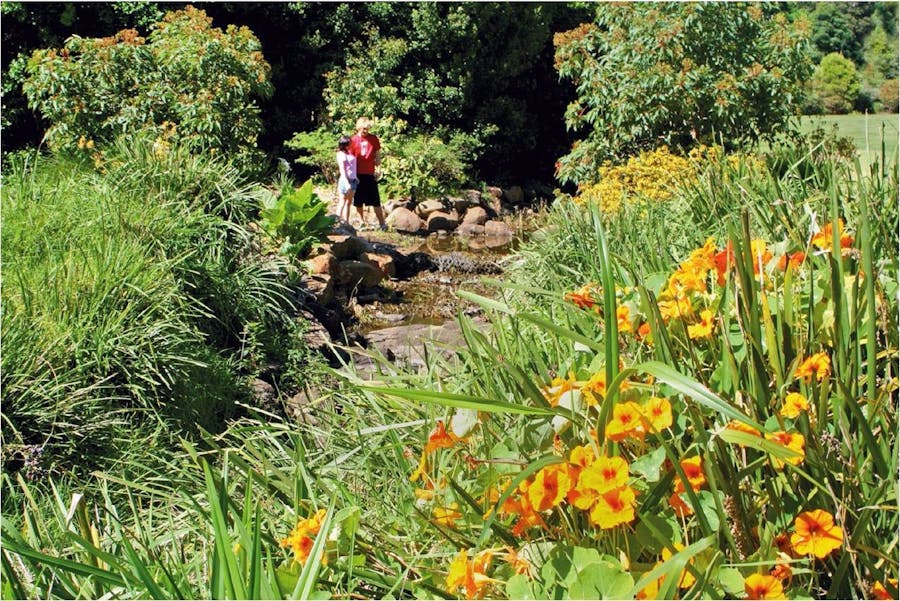 Bonaira Native Gardens