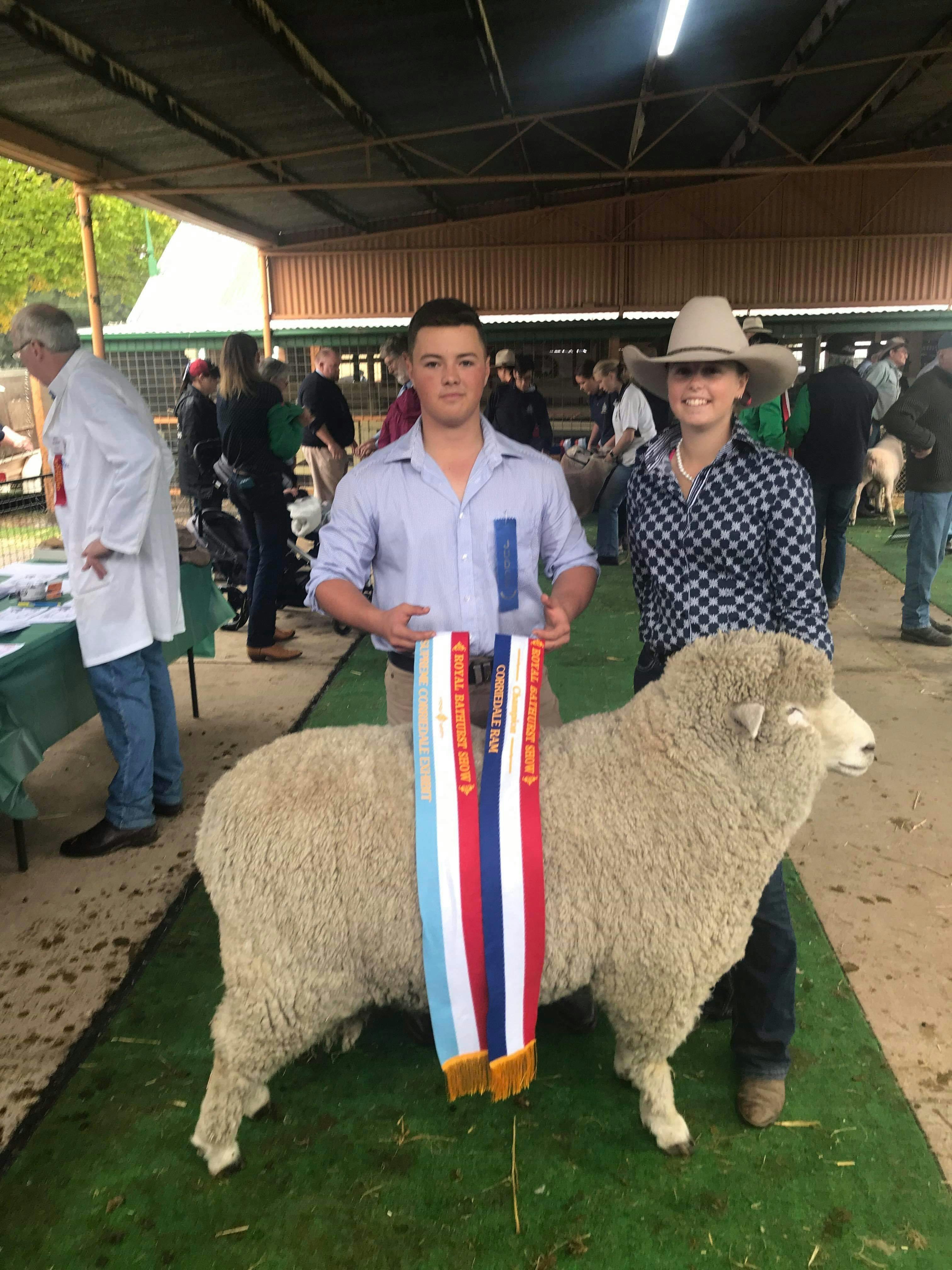 Sheep Section awards