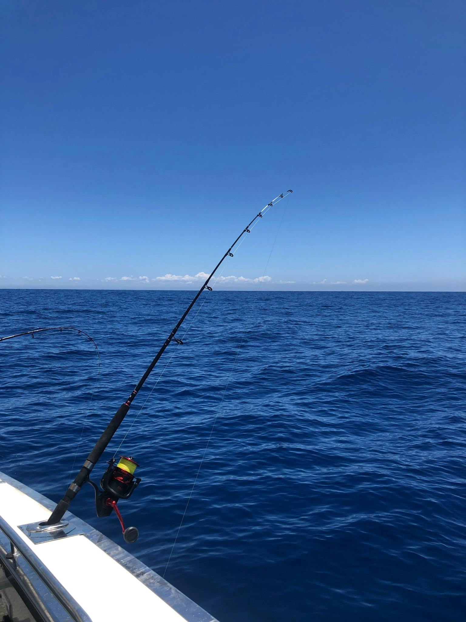 Fishing rod off Prospector