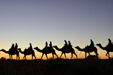 Camel to Sunset