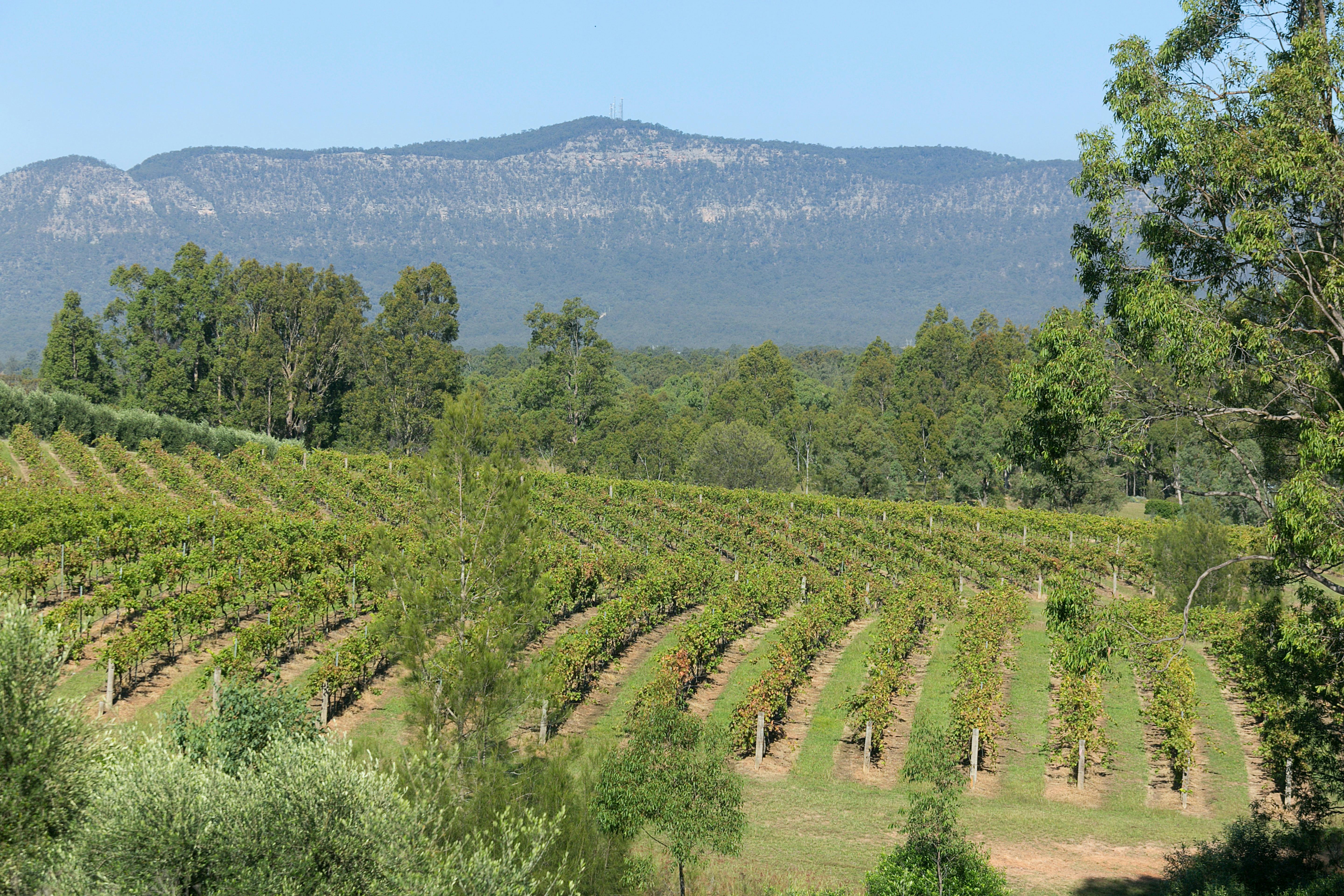 North Lodge Estate Cottages
