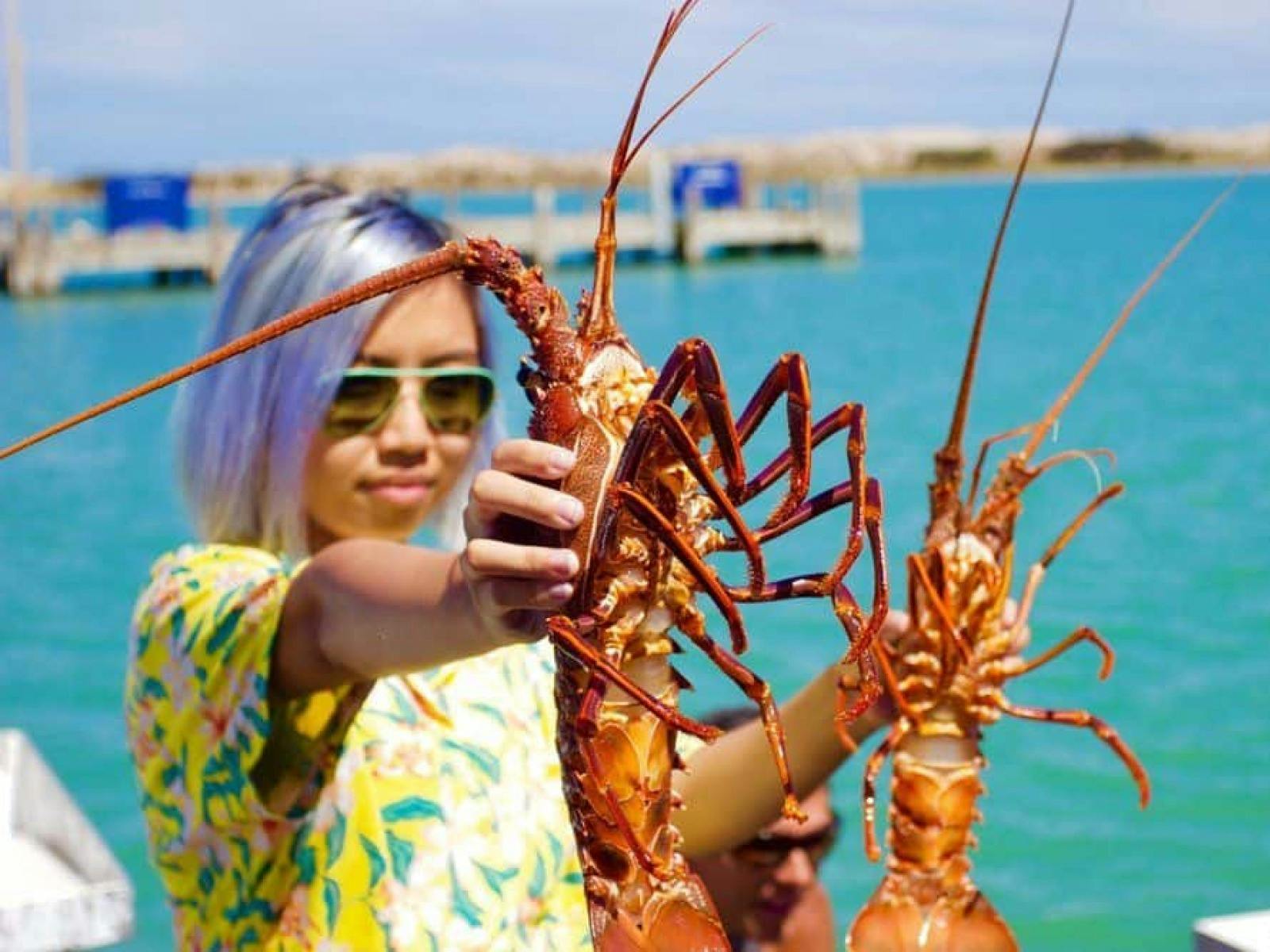 Lobster catch Kalbarri