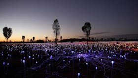 Immerse yourself in the Field of Light