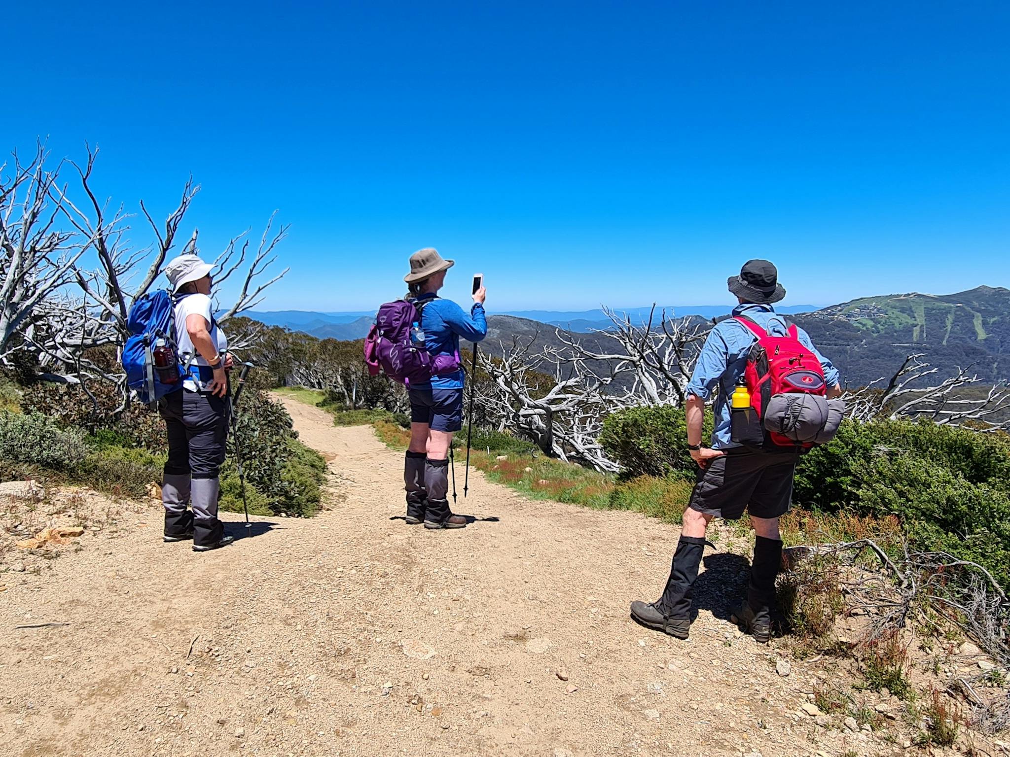 A group of hikers are soaking up a view of Mt Buller from Mt Stirling.