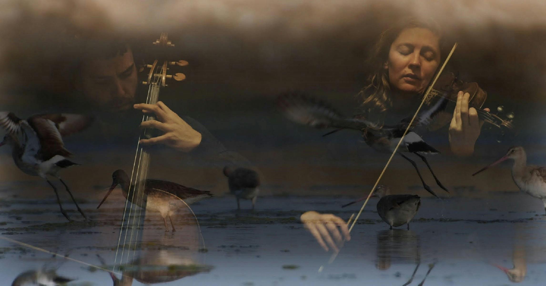 Anthony Albrecht and Simone Slattery performing Feb 15 at Maitland Regional Art Galleryr