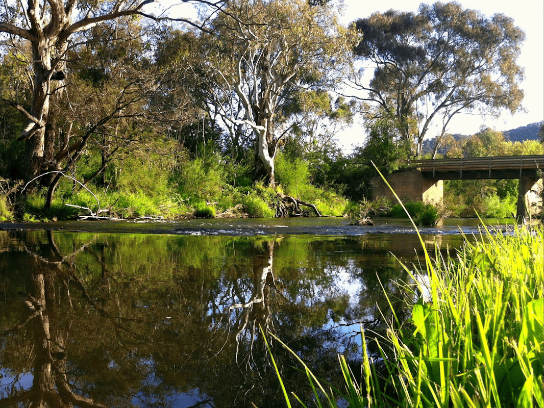 Bracks Bridge on the Delatite River