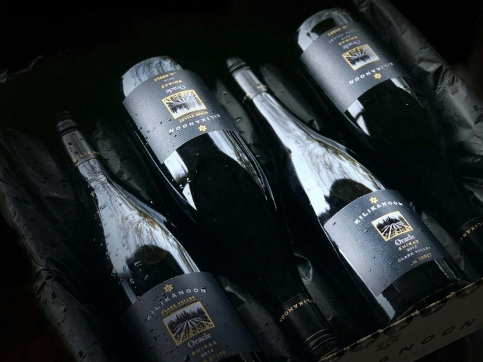 Oracle Shiraz
