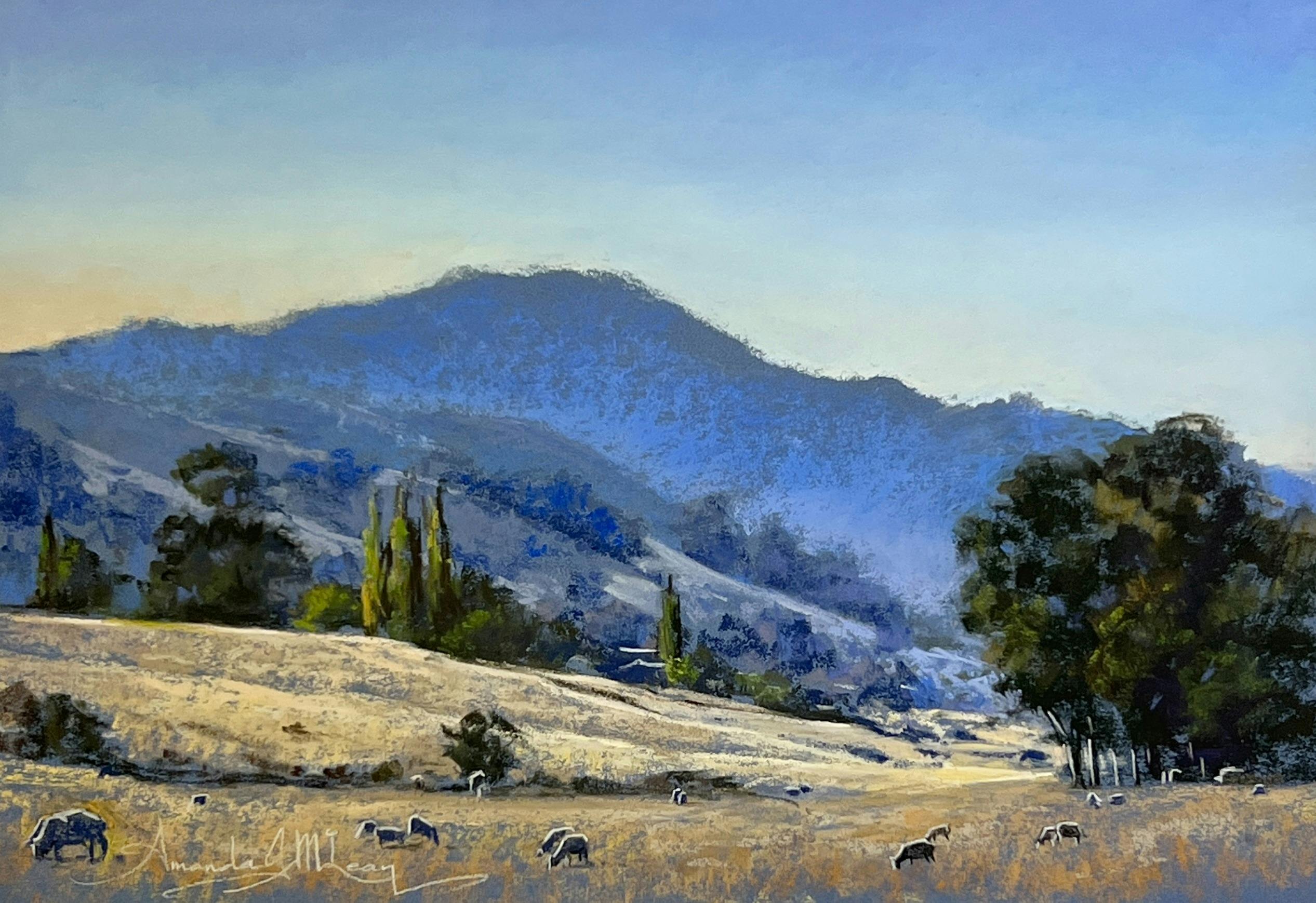 By Amanda McLean