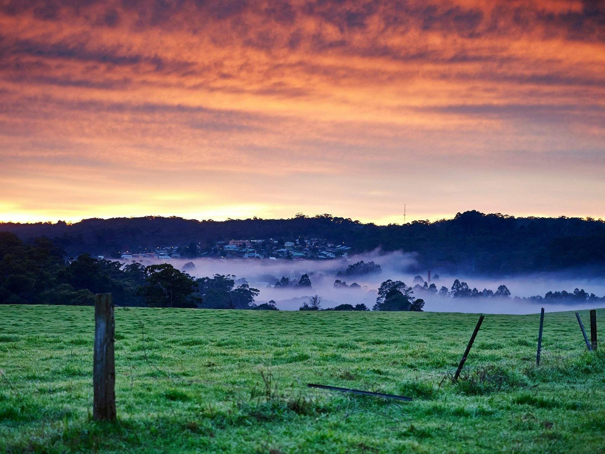 Pemberton, Western Australia