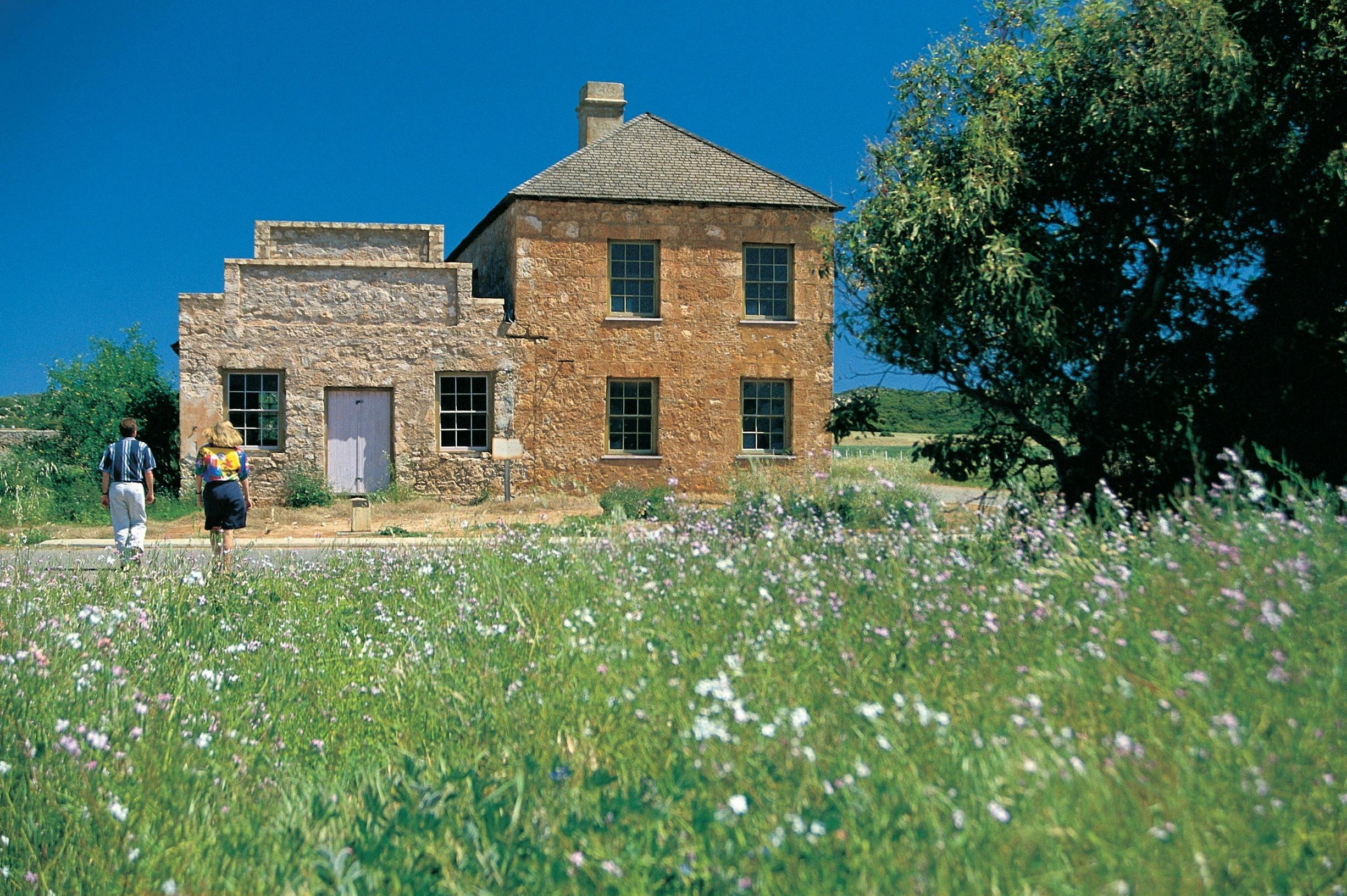 Northern Explorer Wildflower Trail, Greenough, Western Australia