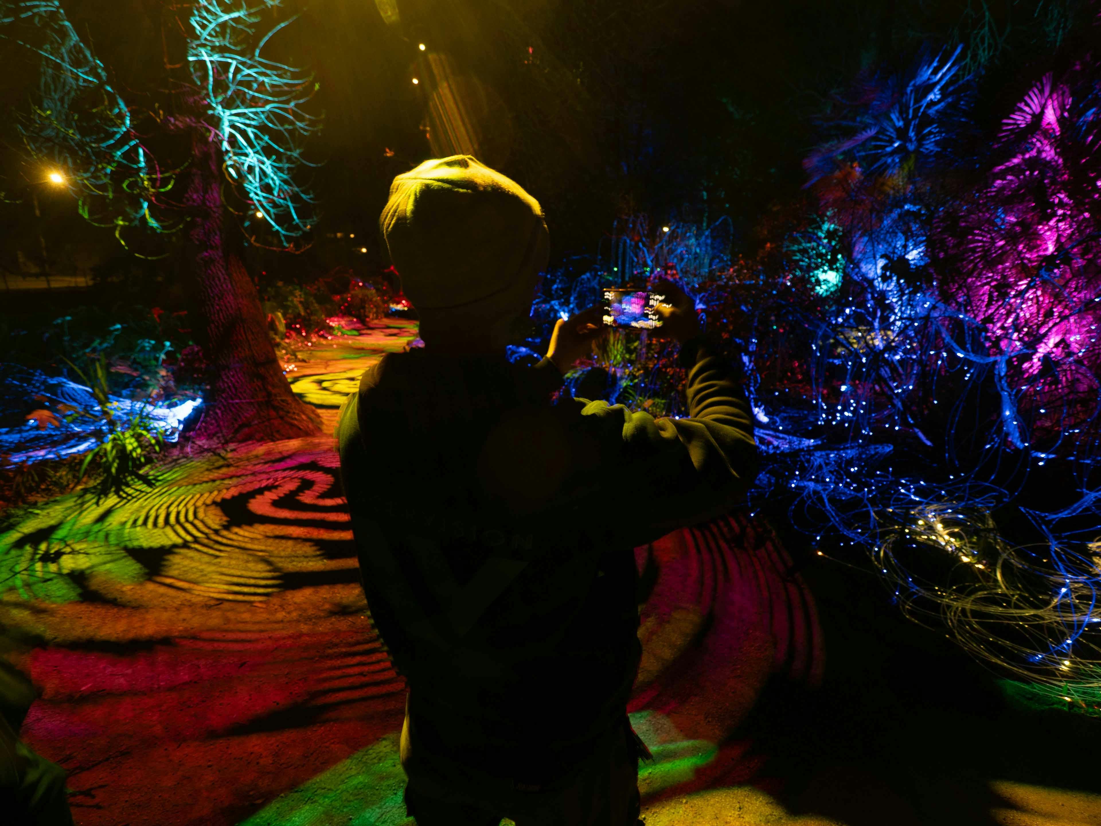 A kaleidoscope of colour lights the path and garden