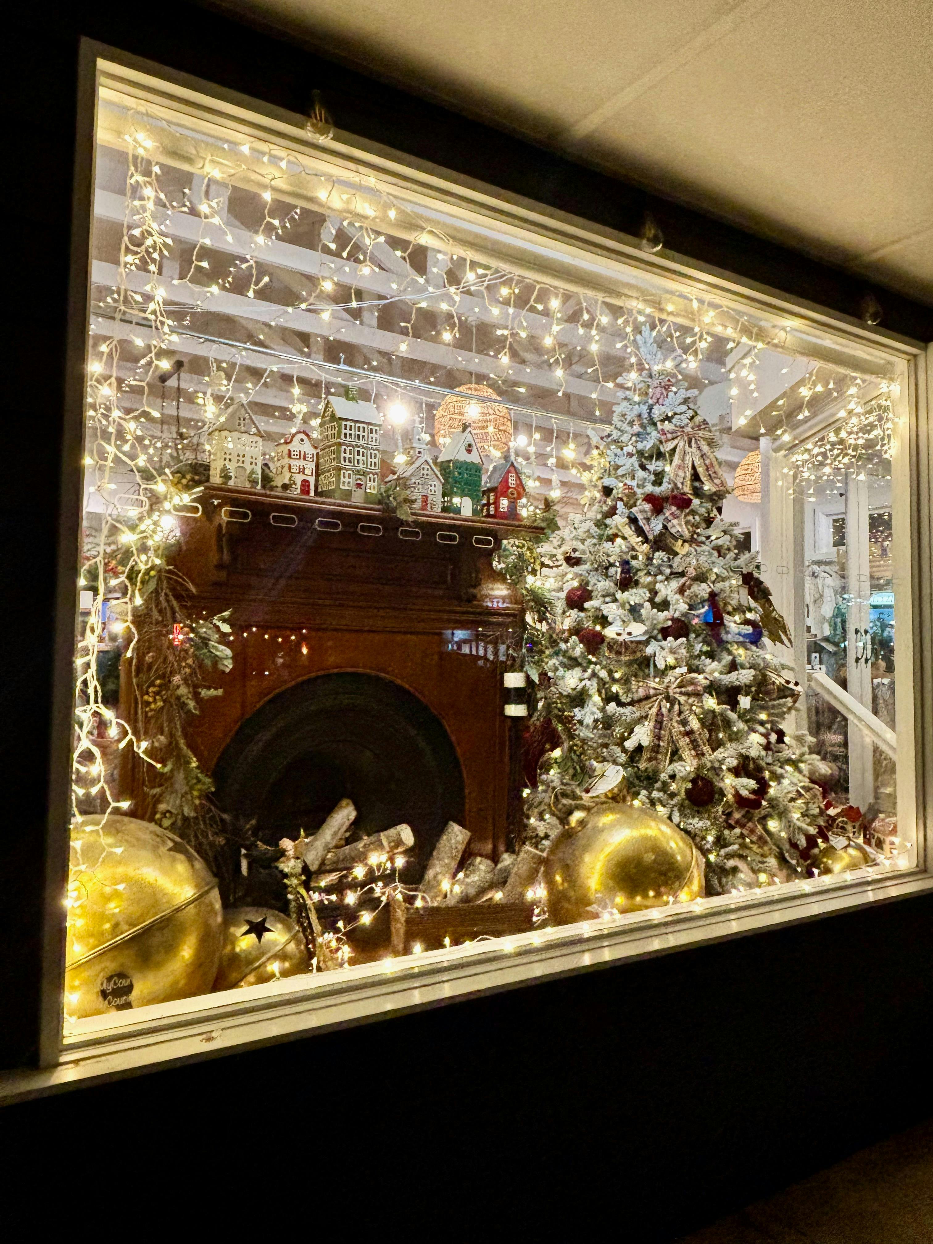 Window Christmas display 2025