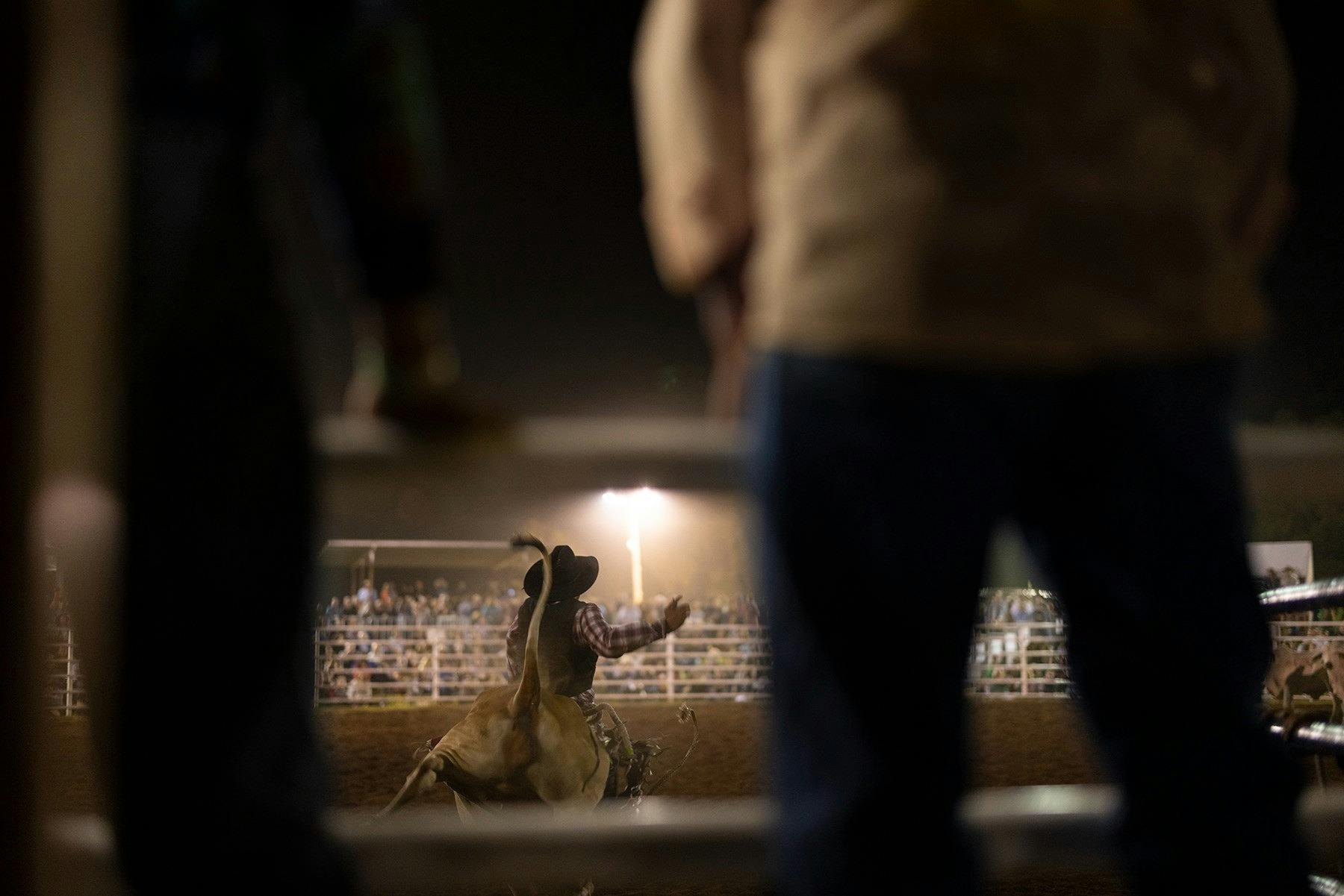 Ord Valley Muster, Kununurra, Western Australia