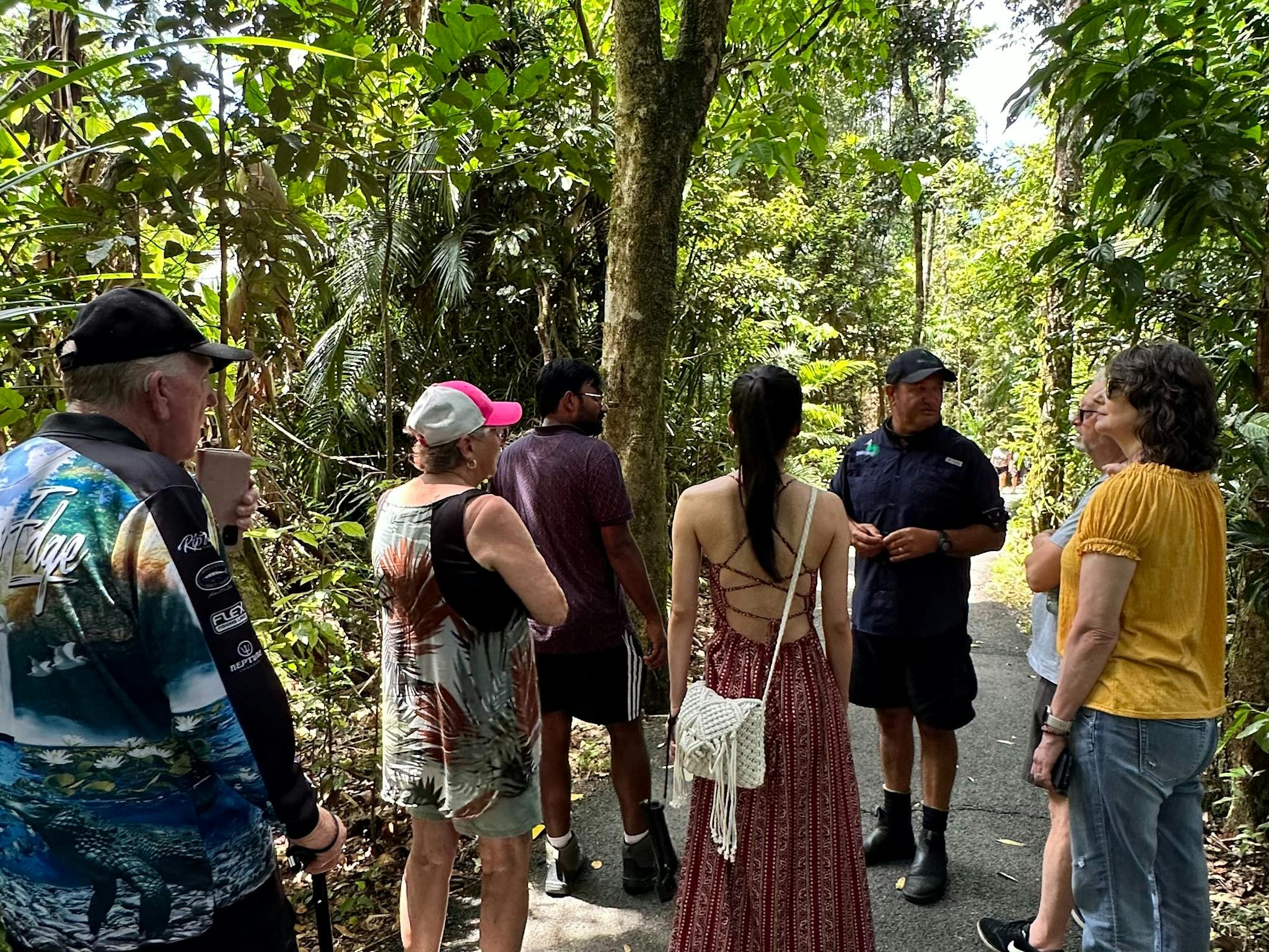 Small group of travellers standing in rainforest listening to guide at Babinda Boulders. Small group of travellers standing in rainforest listening to guide at Babinda Boulders.