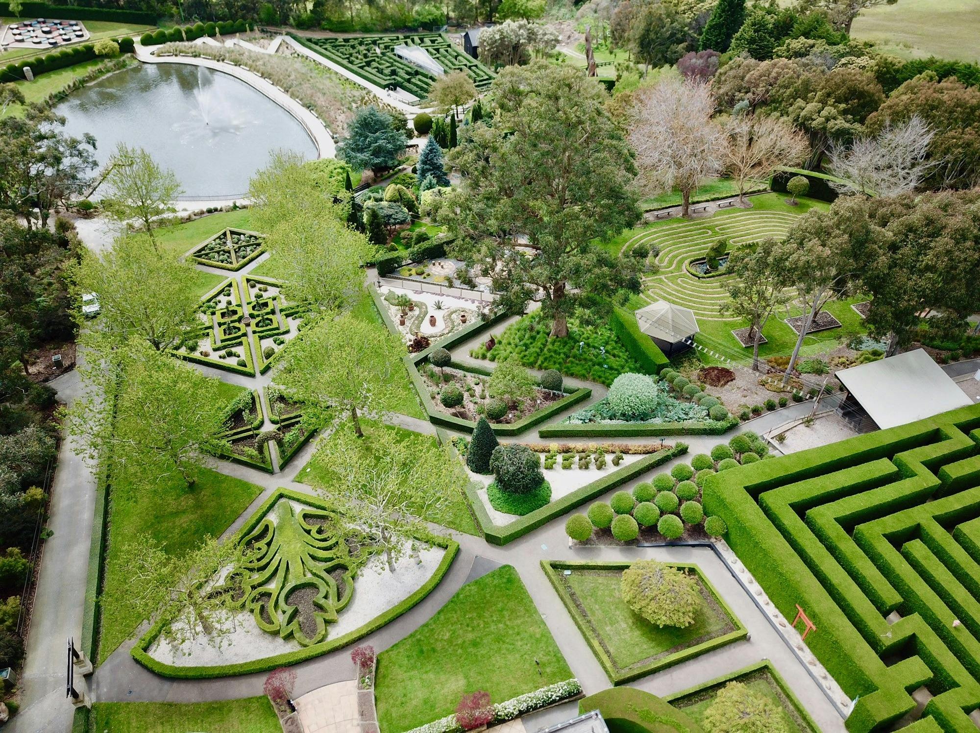 Enchanted Maze