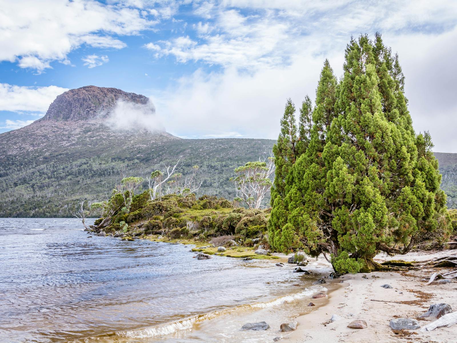 Trek Tasmania