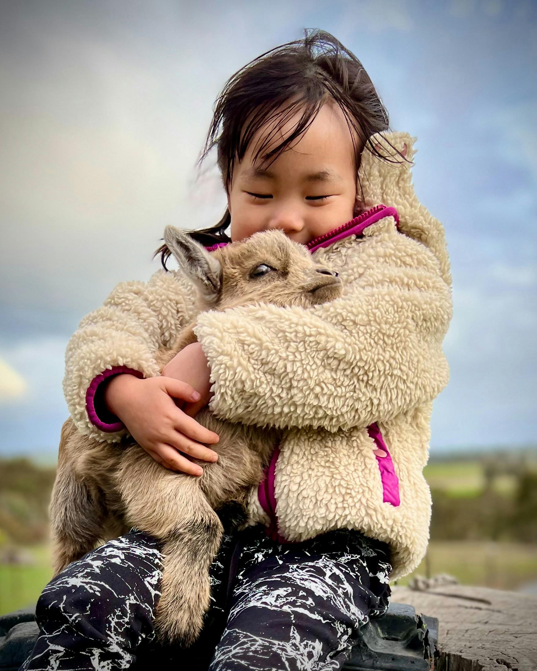 A girl cuddling a goat, her coat is a very similar colour to the goat which makes a great photo