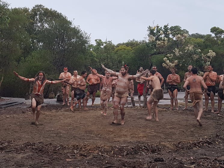 Aboriginal Dancers