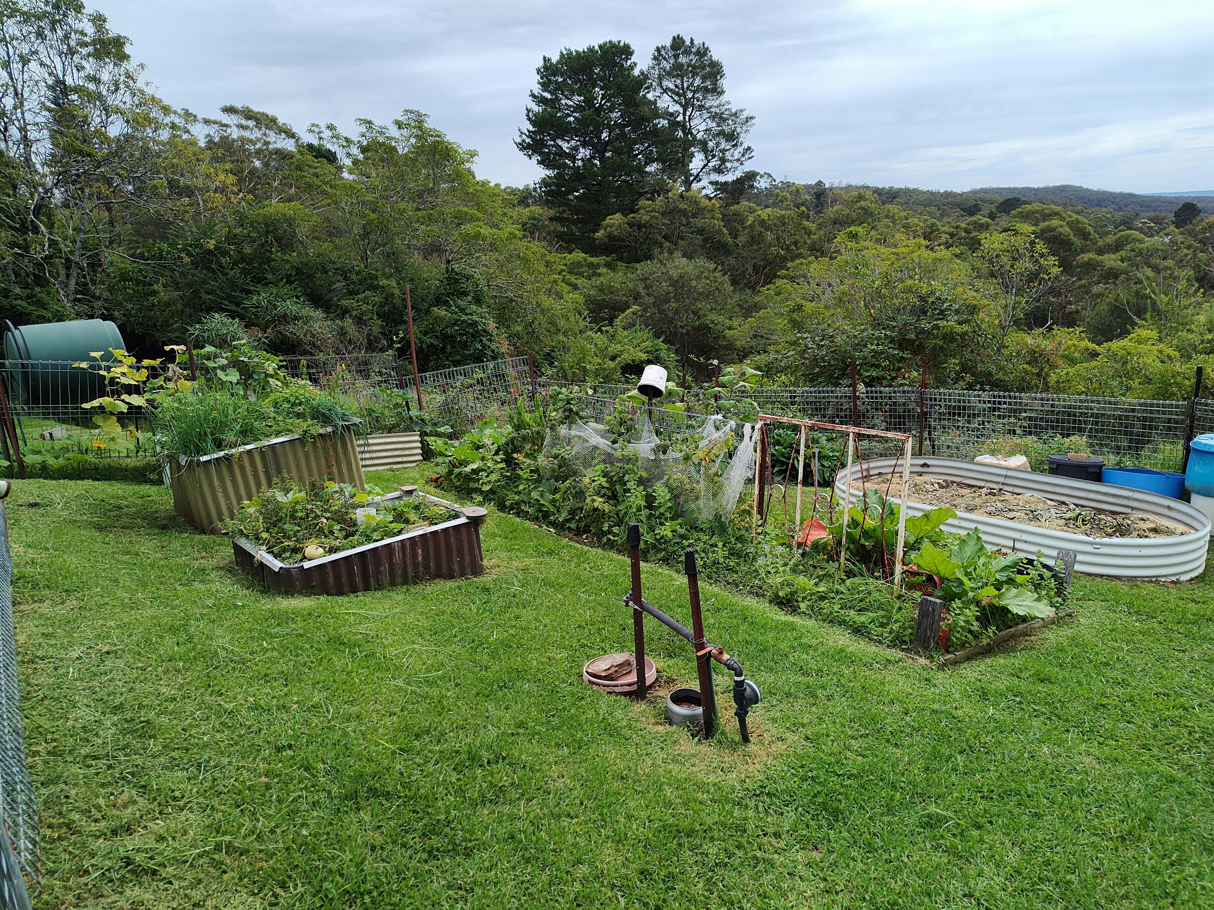 Garden bends on a grassy slope
