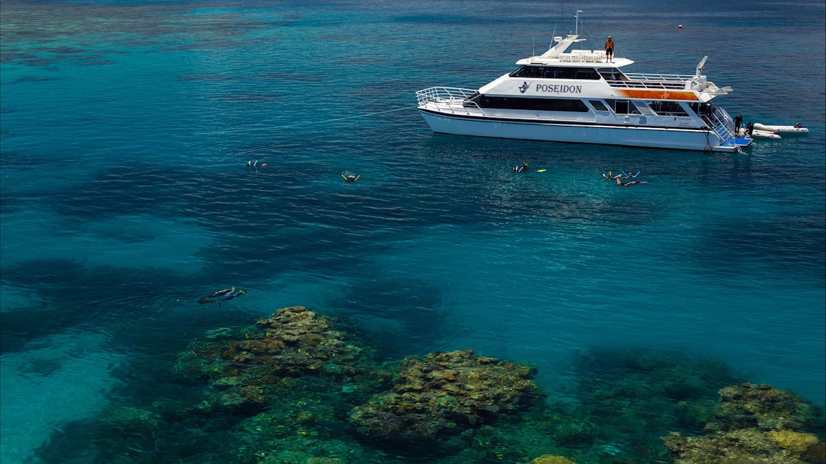 Poseidon Dive and Snorkel Great Barrier Reef