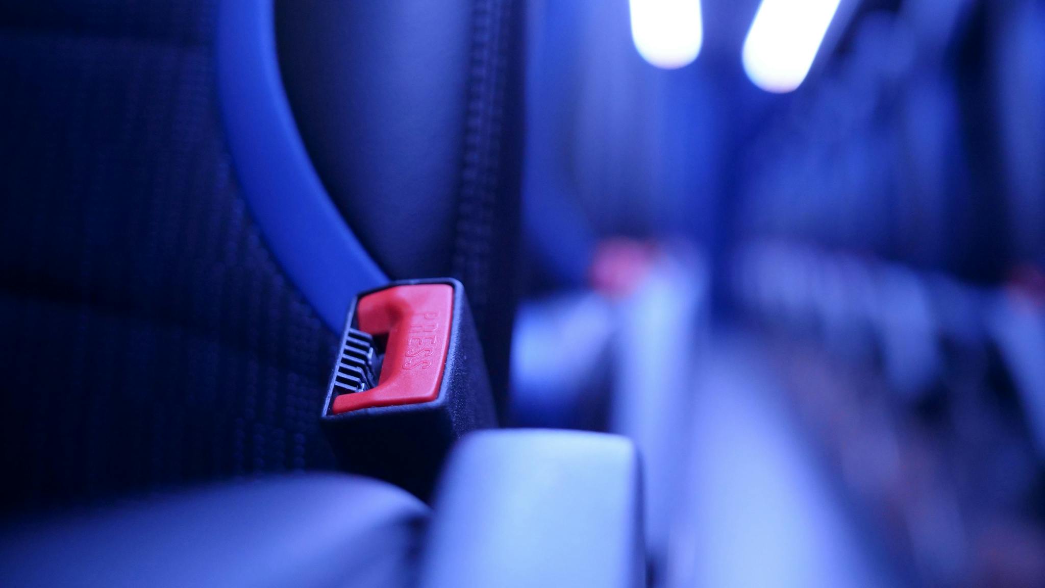 Firefly Interior Safety Seatbelts