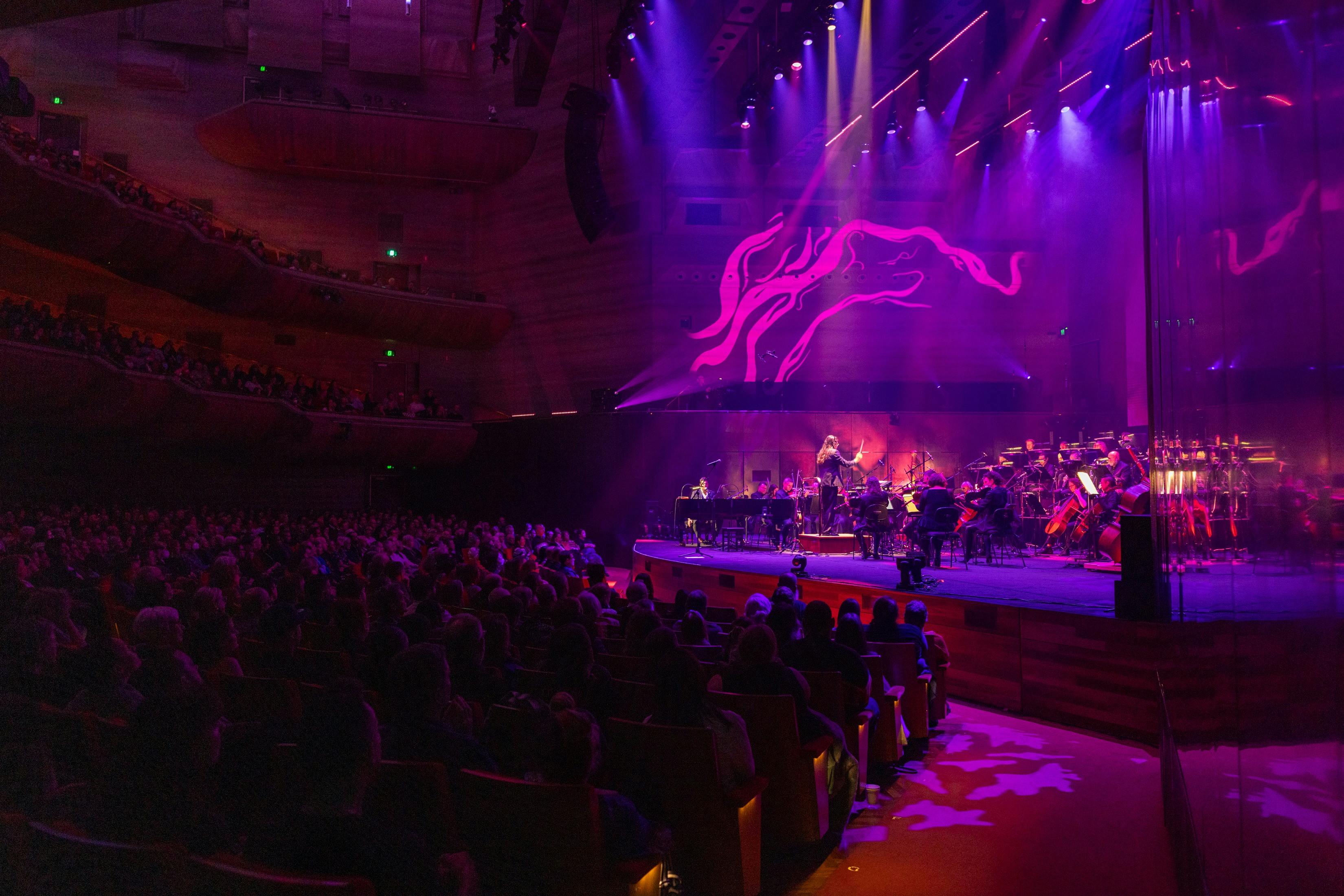 Dan Sultan and the ASO