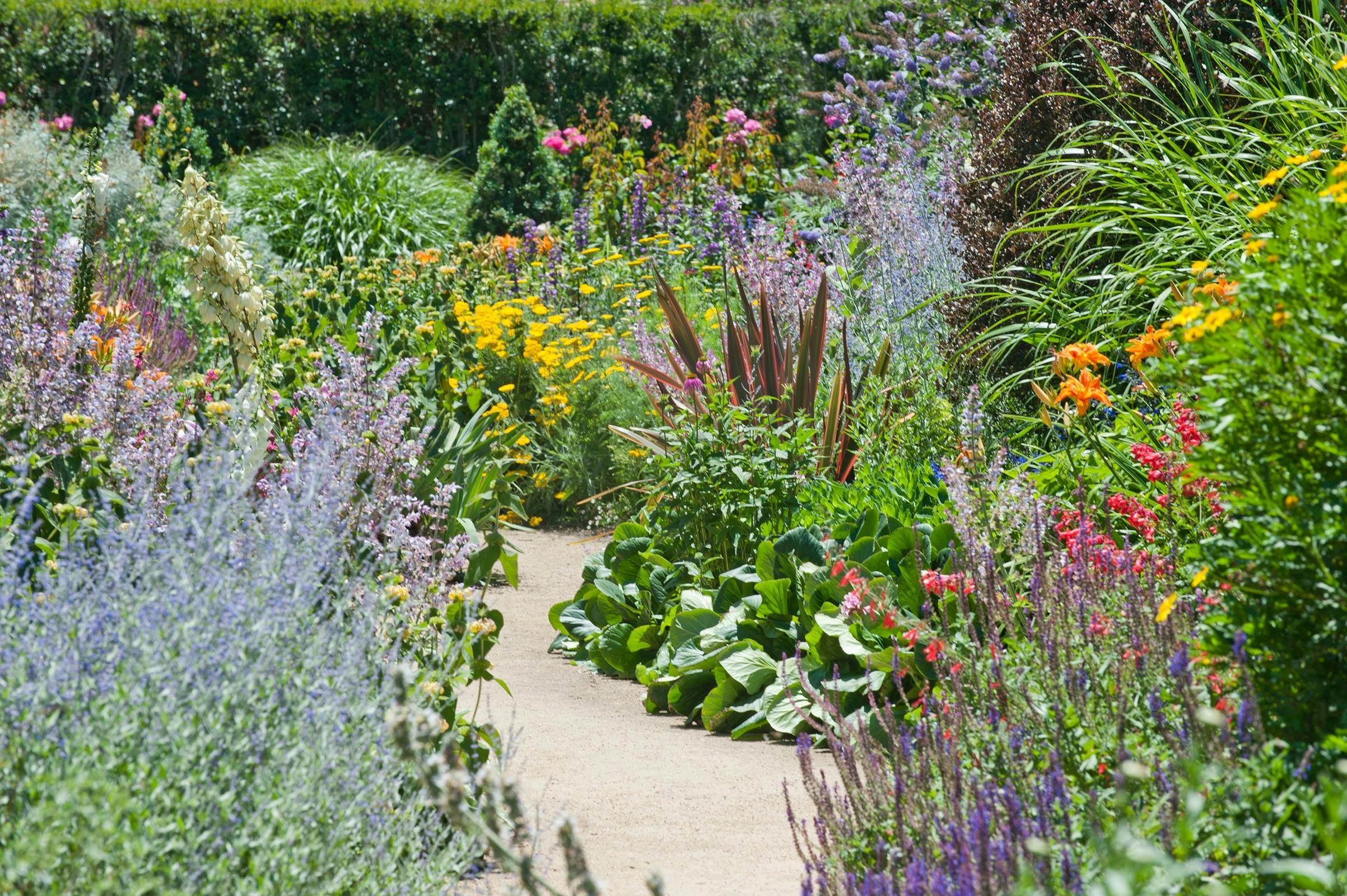 Alowyn Gardens and Nursery
