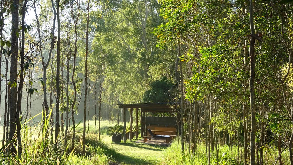 Relax by the creeek and watch for platypus