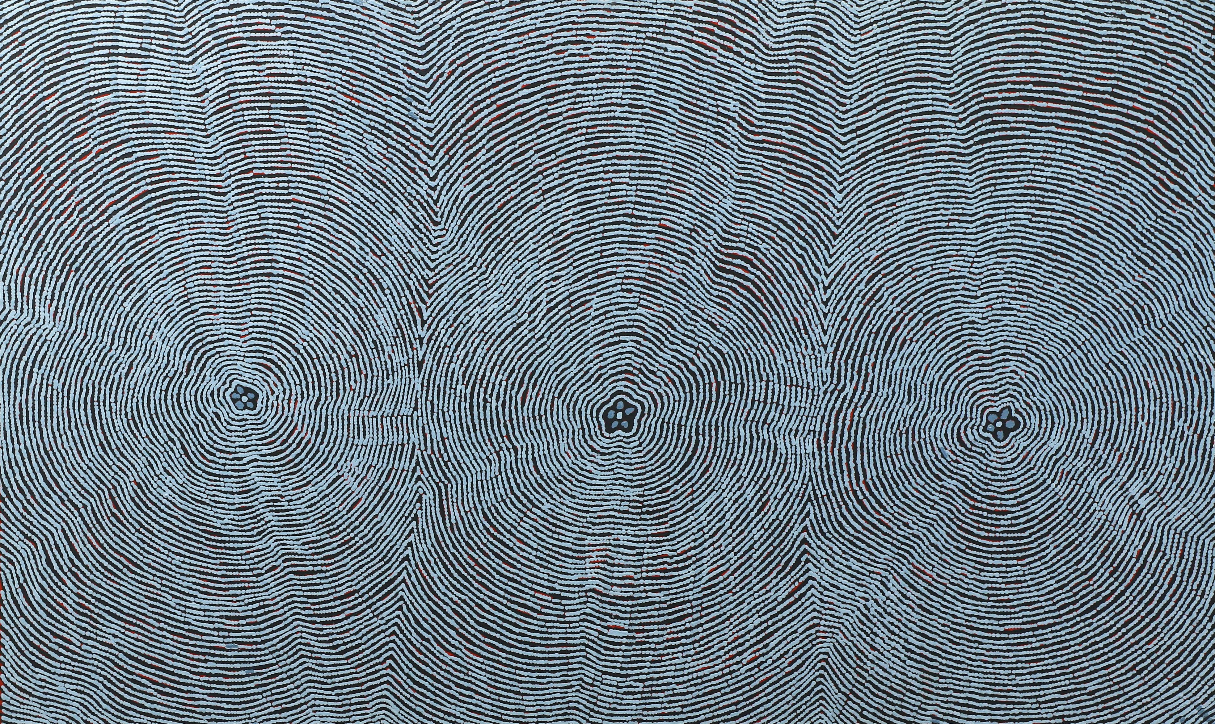 Papunya Tjupi Art Centre Aboriginal Corporation