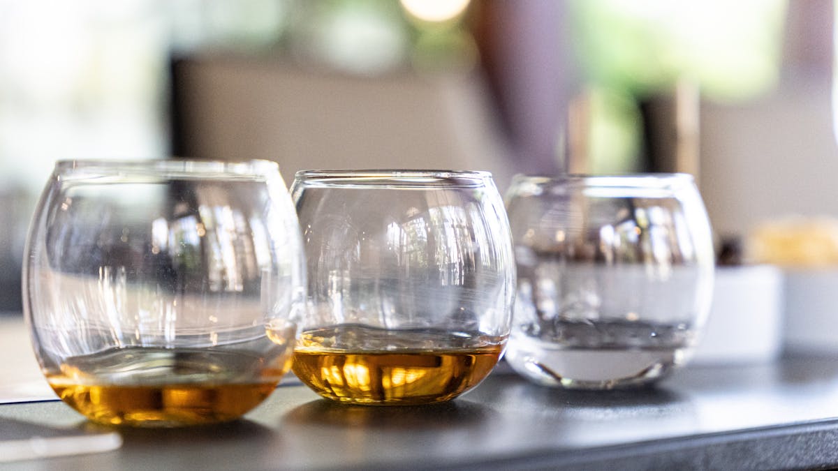 Daintree Bar Tasting Paddles