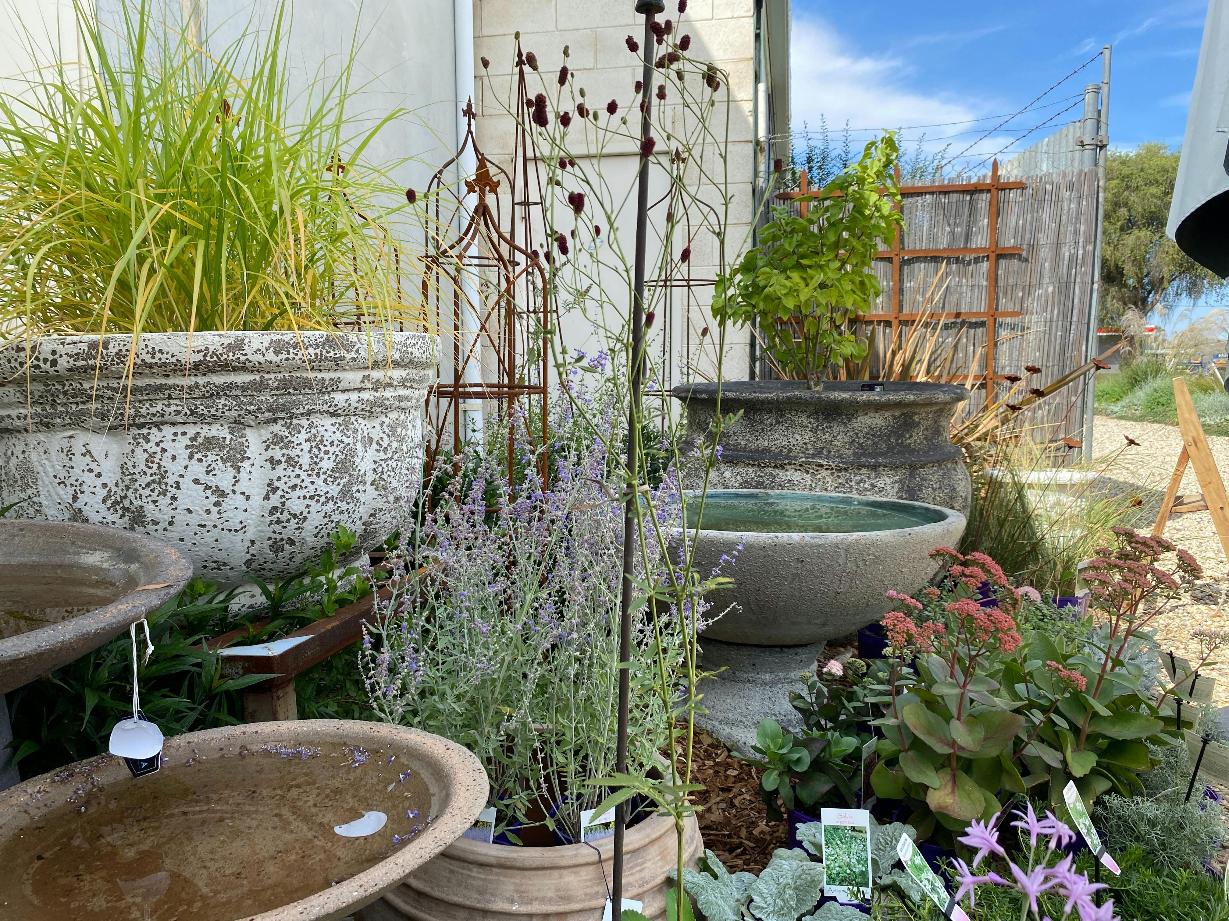The exterior courtyard filled with lush plants and interesting pots