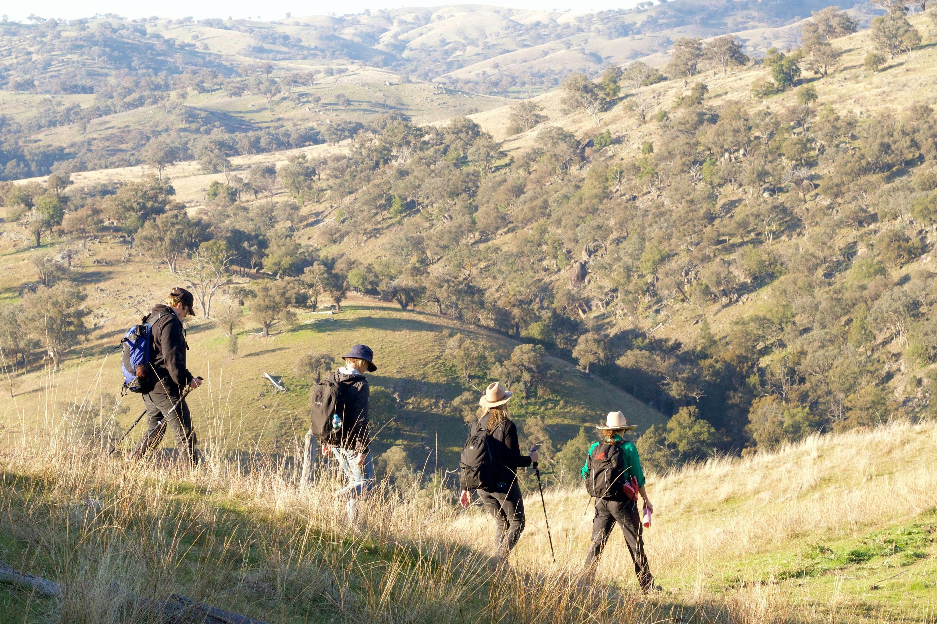 Numby Station is a 6000ha sheep and cattle property