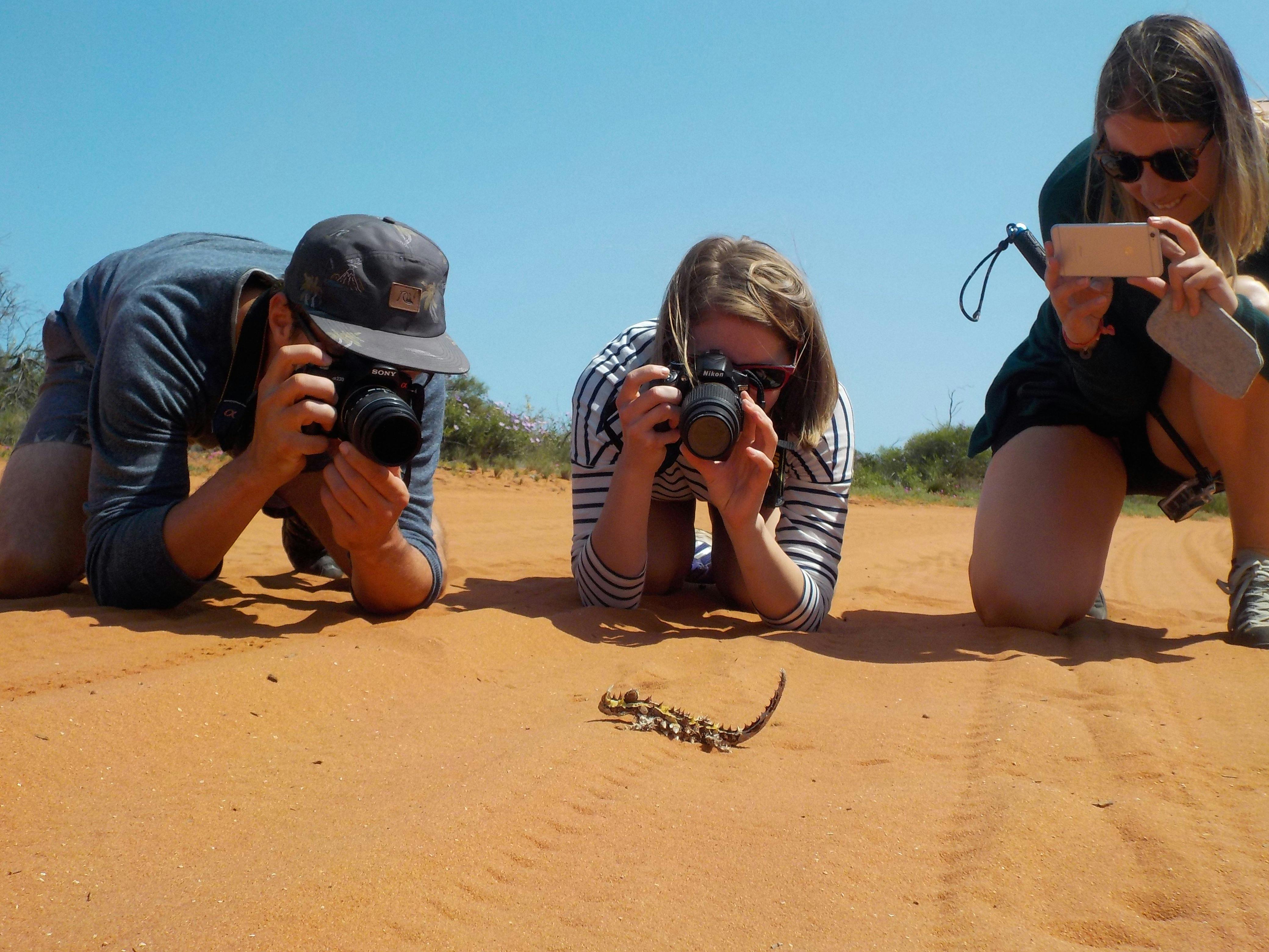 Wula Gura Nyinda Eco Cultural Adventures, Denham, Western Australia