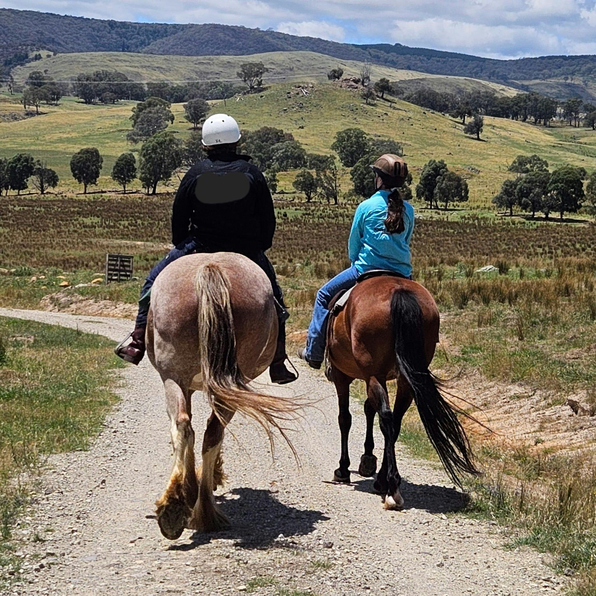 在布鲁克林泉农场度假村骑马