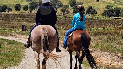 horse riding at Brooklyn Springs Farm Escape