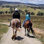 horse riding at Brooklyn Springs Farm Escape