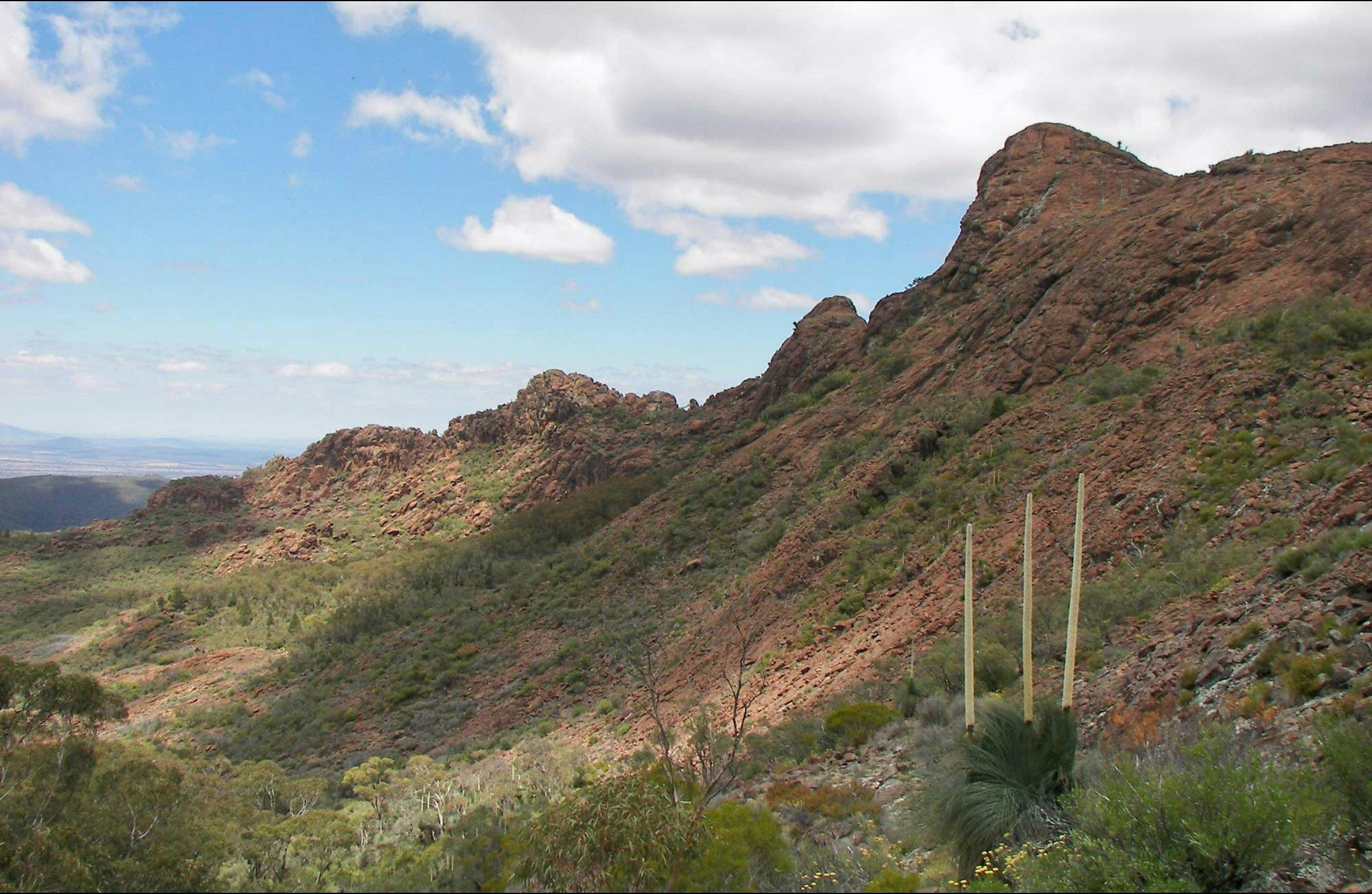 Yulludunida Walking Track