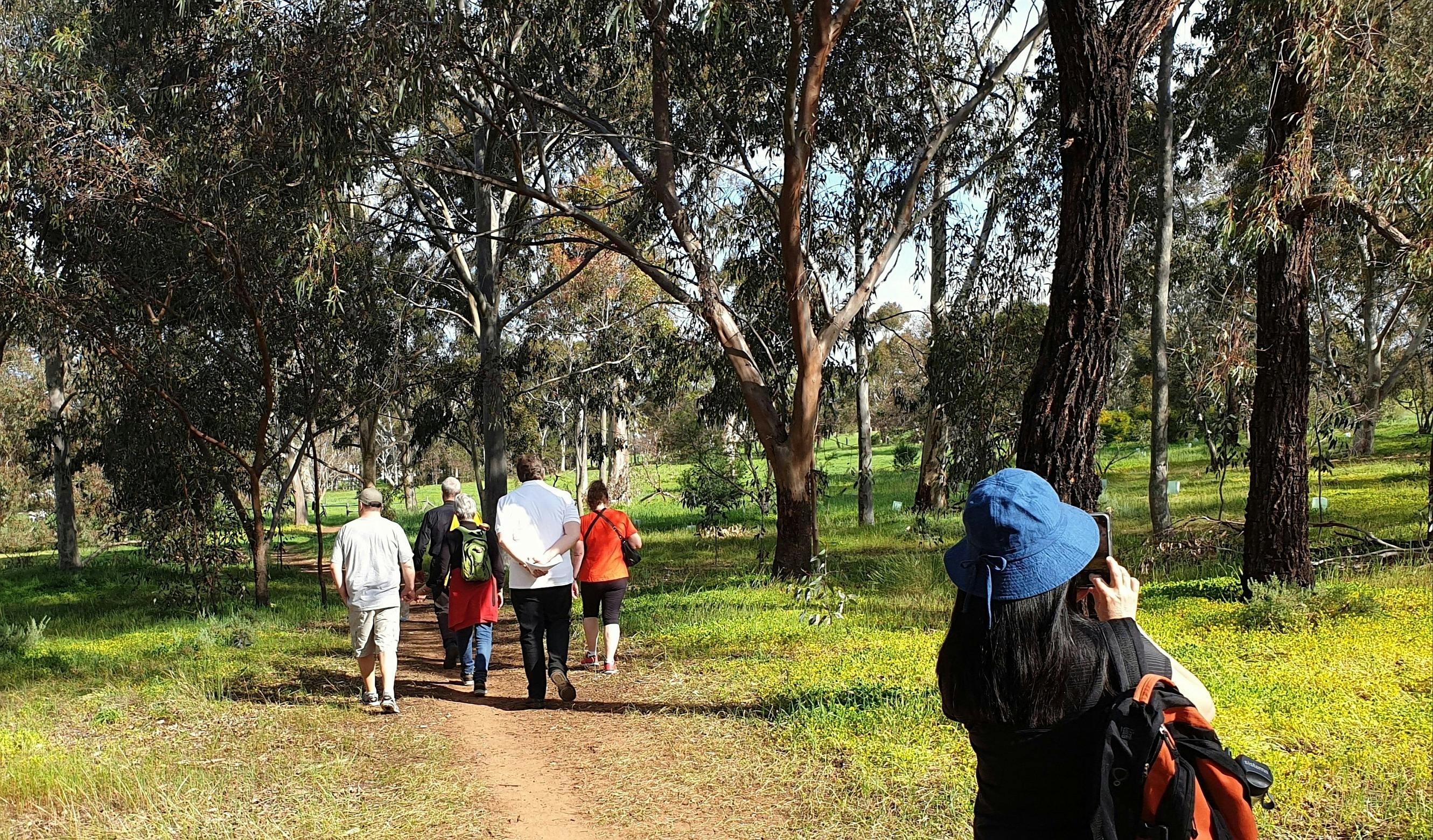Guided walk through Lefevre Park / Nantu Wama (Park 6)