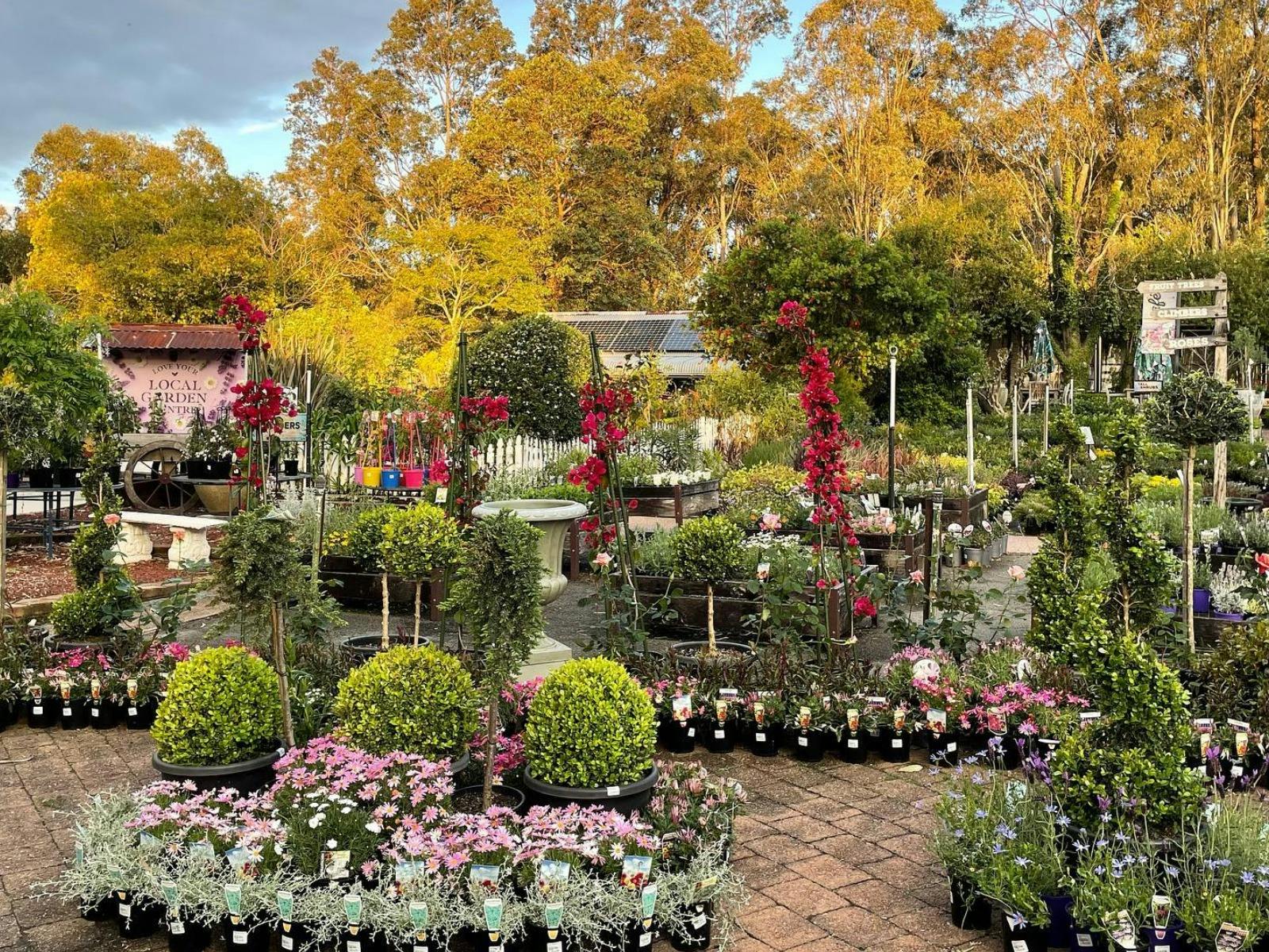 Plants, and more plants. Take your pick, something for everyone.