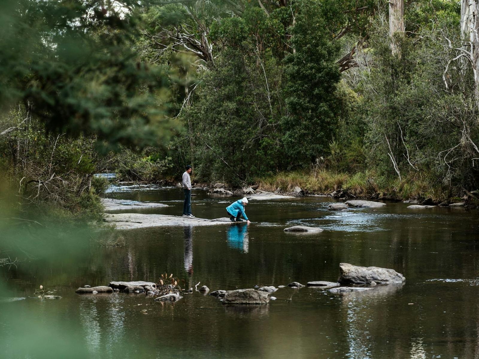 The Tyenna River boarders the National Park.  Perfect place to enjoy a picnic!