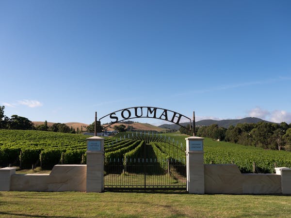 SOUMAH of Yarra Valley